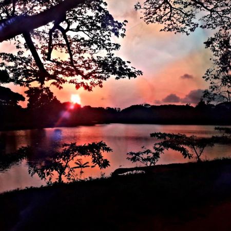 Lake View Дамбула Екстериор снимка