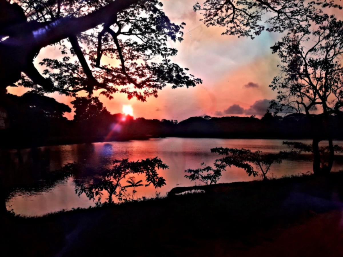 Lake View Дамбула Екстериор снимка